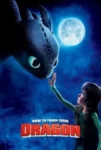 دانلود انیمیشن مربی اژدها با دوبله فارسی How to Train Your Dragon 2010